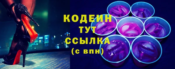 хмурый Арсеньев