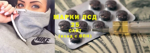 шишки Армянск