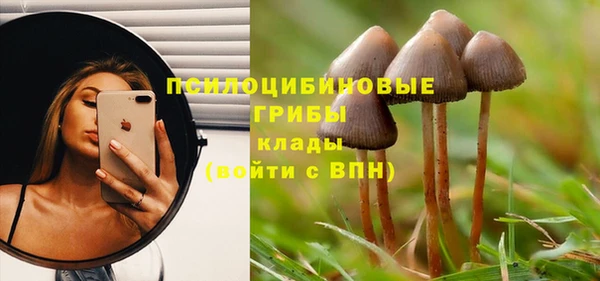не бодяженный Алексин