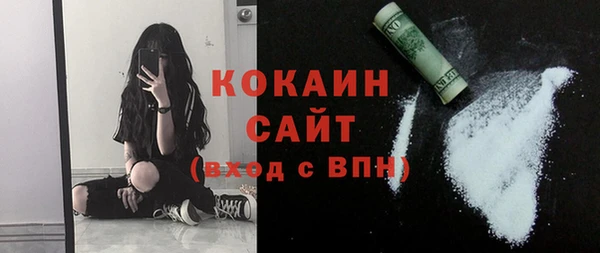 шишки Армянск