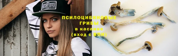 шишки Армянск