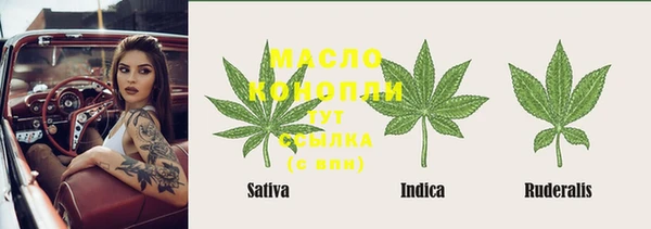 хмурый Арсеньев