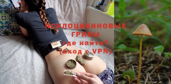 шишки Армянск