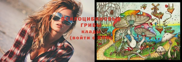 хмурый Арсеньев