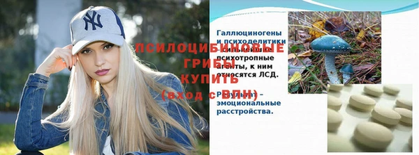 шишки Армянск