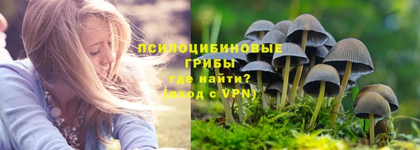 крисы Навашино