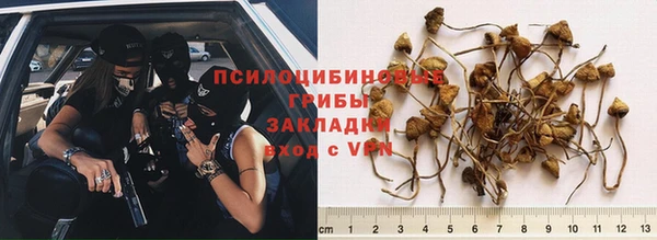 ешки Алексеевка