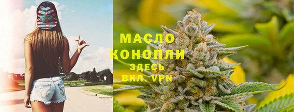 хмурый Арсеньев