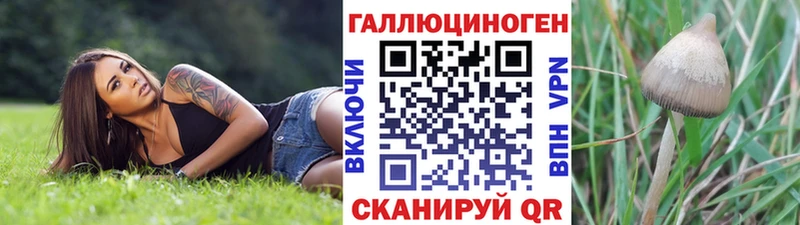 Псилоцибиновые грибы Psilocybine cubensis Куса